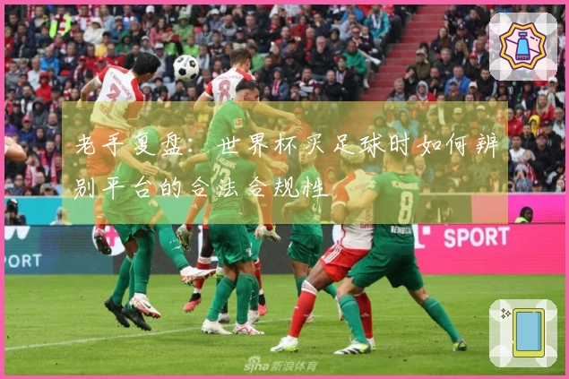 老手复盘：世界杯买足球时如何辨别平台的合法合规性